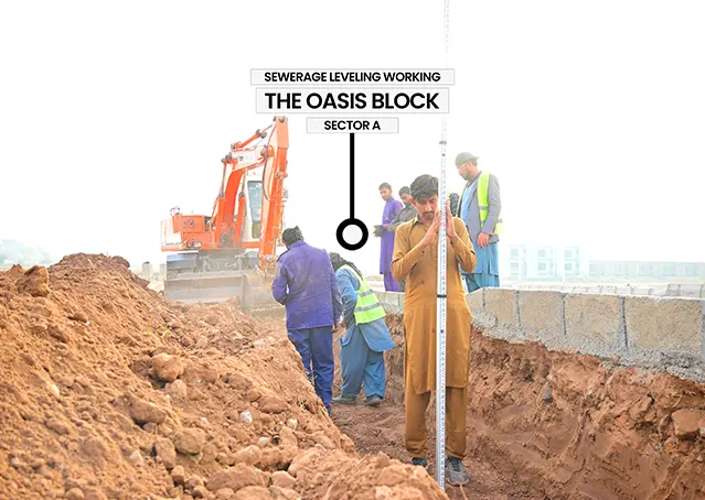 12567Artboard 8 (4).webp